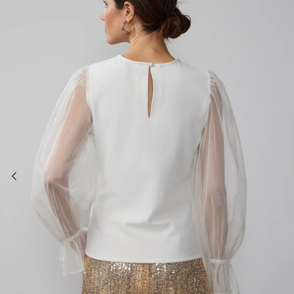 NWT Long Glitter Tulle Sleeve Top - Picture 3 of 3
